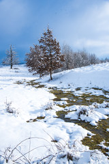 Winter landscape