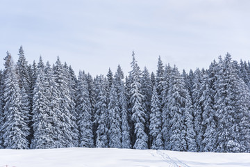 Landscape in Dolomites Mountains, Italy