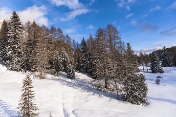 Winter in Dolomites Mountains