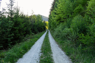 Country road agriculture nature idyll aim peace concept
