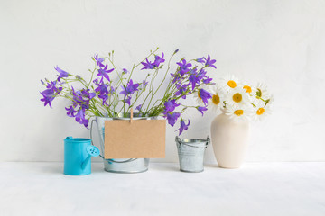 Home interior and garden concept