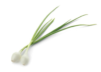 Fresh green onion on white background