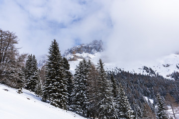 Winter landscape in Dolomites Mountains