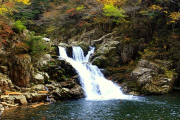 Wasserfall Herbst Hintergrund