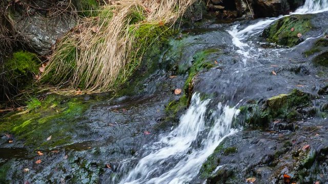 A small waterfall of the mountain creek Tro Maret running over moss covered rocks in the Ardennes, Belgium.