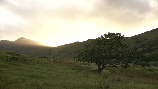 Paysage avec coucher de soleil / Landscape with a tree and the sunset