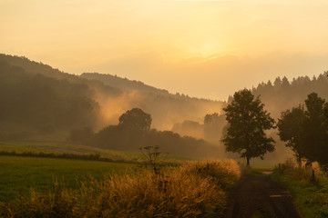 Stimmungsvolle szene mit Nebel in den Bergen