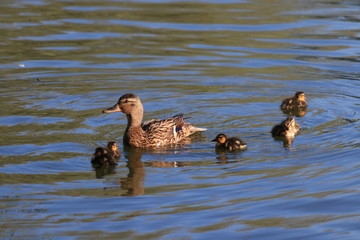 Санкт-Петербург