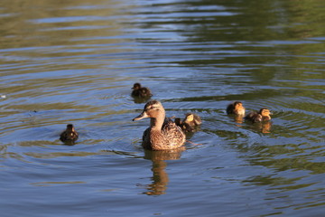 Санкт-Петербург