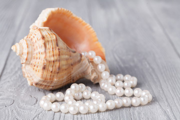 Wedding background with pearls and sea shell. Luxury wedding background
