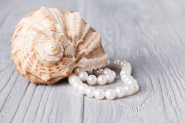 Wedding background with pearls and sea shell.