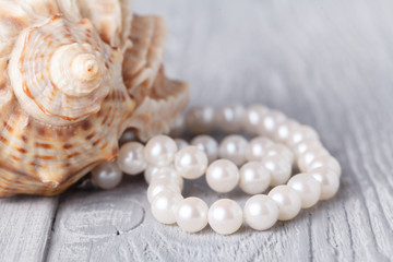 Wedding background with pearls and sea shell.