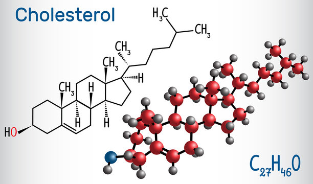 Cholesterol molecule. Structural chemical formula and molecule model