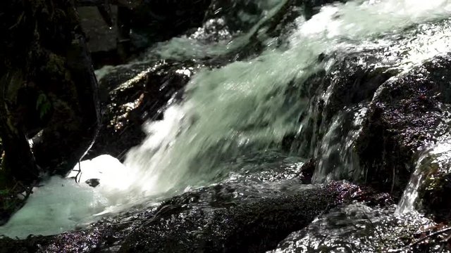 Gros plan d'une cascade / Close shot of a waterfall in a forest