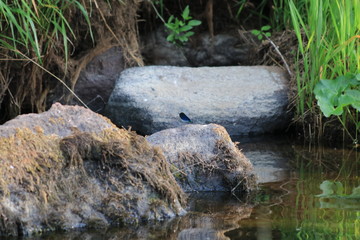 Санкт-Петербург