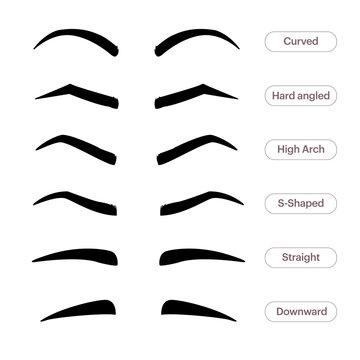 Eyebrow shapes. Various types of eyebrows. Classic type and other. Trimming. Vector illustration with different thickness of brows. Makeup tips.