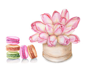 Obraz na płótnie Canvas A gentle light bouquet of flowers and macaroons. Watercolor illustration of woman's gift.