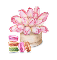 Fototapeta na wymiar A gentle light bouquet of flowers and macaroons. Watercolor illustration of woman's gift.