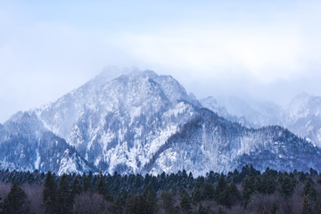 Fototapeta na wymiar Winter in Carpathian Mountains