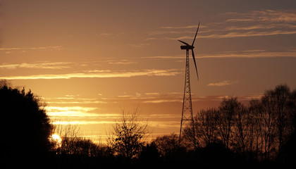 Obraz premium Windrad im Sonnenuntergang