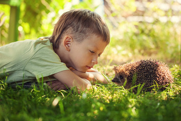 Child with pet. Boy and hedgehog looking at each other