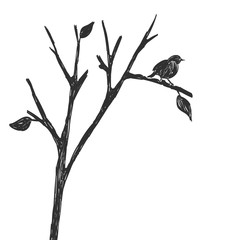 Silhouette of one bird on a branch. Figure sketch