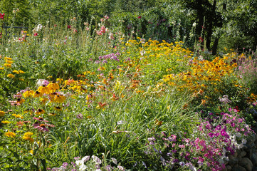 Wildflower garden