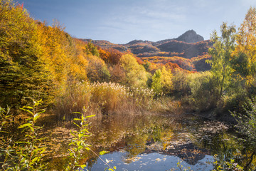 Fototapeta na wymiar Autumn beech forest. Mountain range Demerdzhi, the Republic of Crimea.