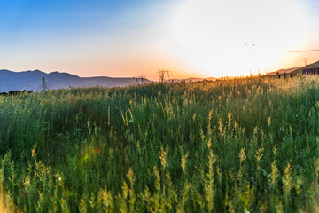 Sunset at the springtime