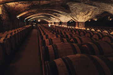 Wine cellar in Burgundy, France