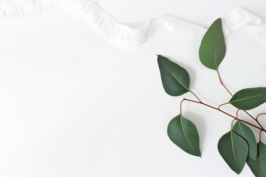 Styled stock photo. Feminine wedding still life composition, mockup scene. Lace ribbon and eucalyptus branch and leaves. White table background. Flat lay, top view.