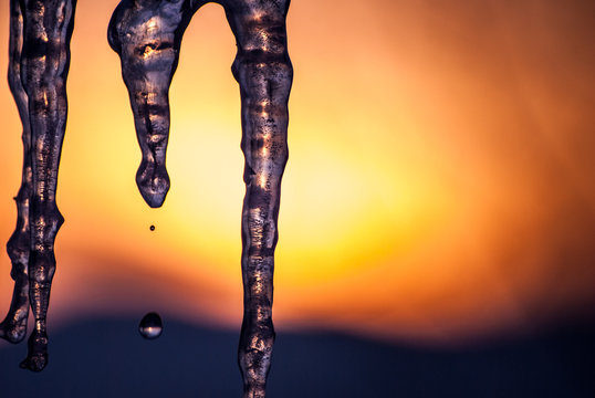 Beautiful Melting Winter Icicles