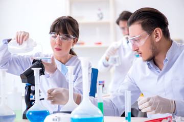 Fototapeta premium Team of chemists working in the lab