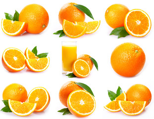 Collection of fresh orange on white background