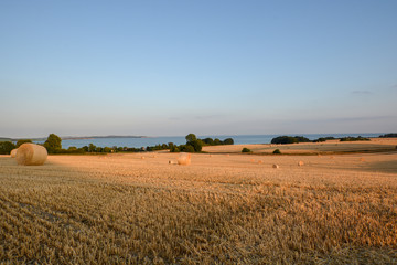 Fototapeta premium Gerstenfeld, Strohballen im Abendlicht - Hintergund Blick zum Bodden bei Groß Stresow auf Rügen