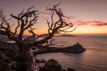 Dawn near the village Novyi Svit (New light). City district Sudak, the Republic of Crimea.