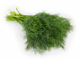 Fresh dill on white background