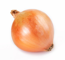 Fresh onion on white background