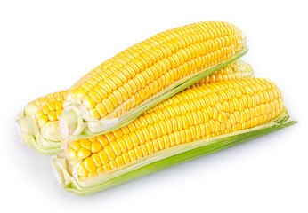 Fresh corn on white background