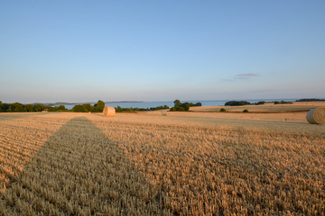 Gerstenfeld, Strohballen im Abendlicht - Hintergund Blick zum Bodden bei Groß Stresow auf Rügen