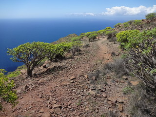 Wanderweg an der Küste La Gomeras