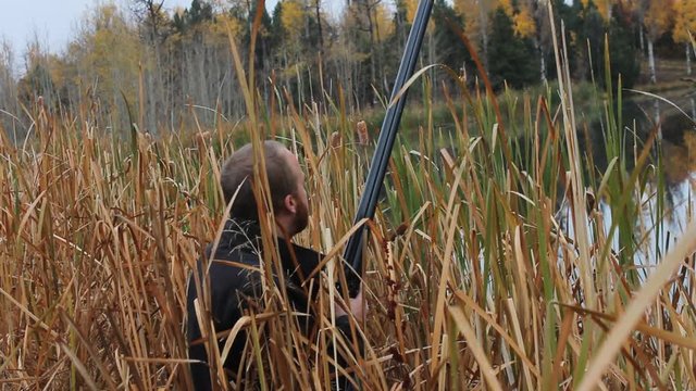 Hunter in tall grass waiting and calling for ducks. 