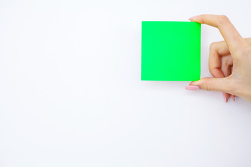 Blank Folder with Green Paper. Hand that Holding Folder and Pan Handle on White Background. Copyspace. Place for Text