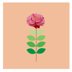 peony trendy modern vector illustration. card romantic. love nature summer spring.