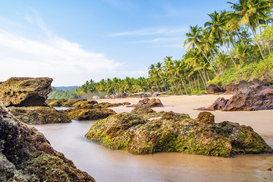 Long exposure. Beautiful and relaxing beach flanked by green palm trees at sunset. Varkala, Kerala, India.