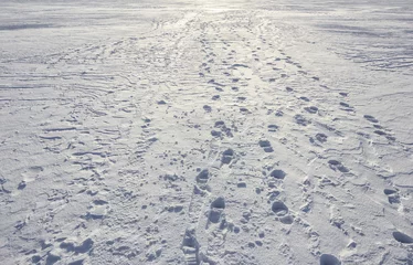 Crédence de cuisine en verre imprimé Hiver Footprints path crossing a snowy terrain, Traces on snow, background