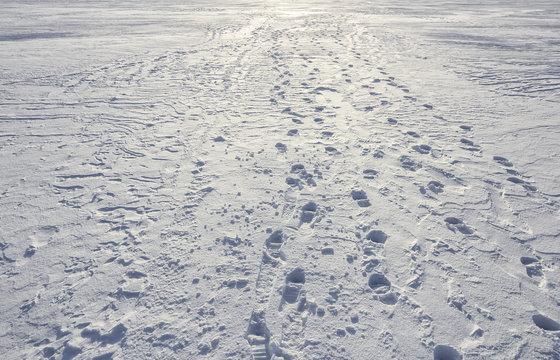 Footprints path crossing a snowy terrain, Traces on snow, background - Powered by Adobe
