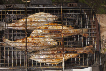 Preparing fresh fish trout on electric grill