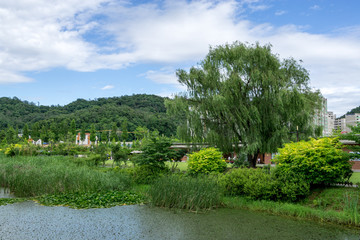Fototapeta premium hangdong reservoir park