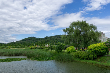 Fototapeta na wymiar hangdong reservoir park